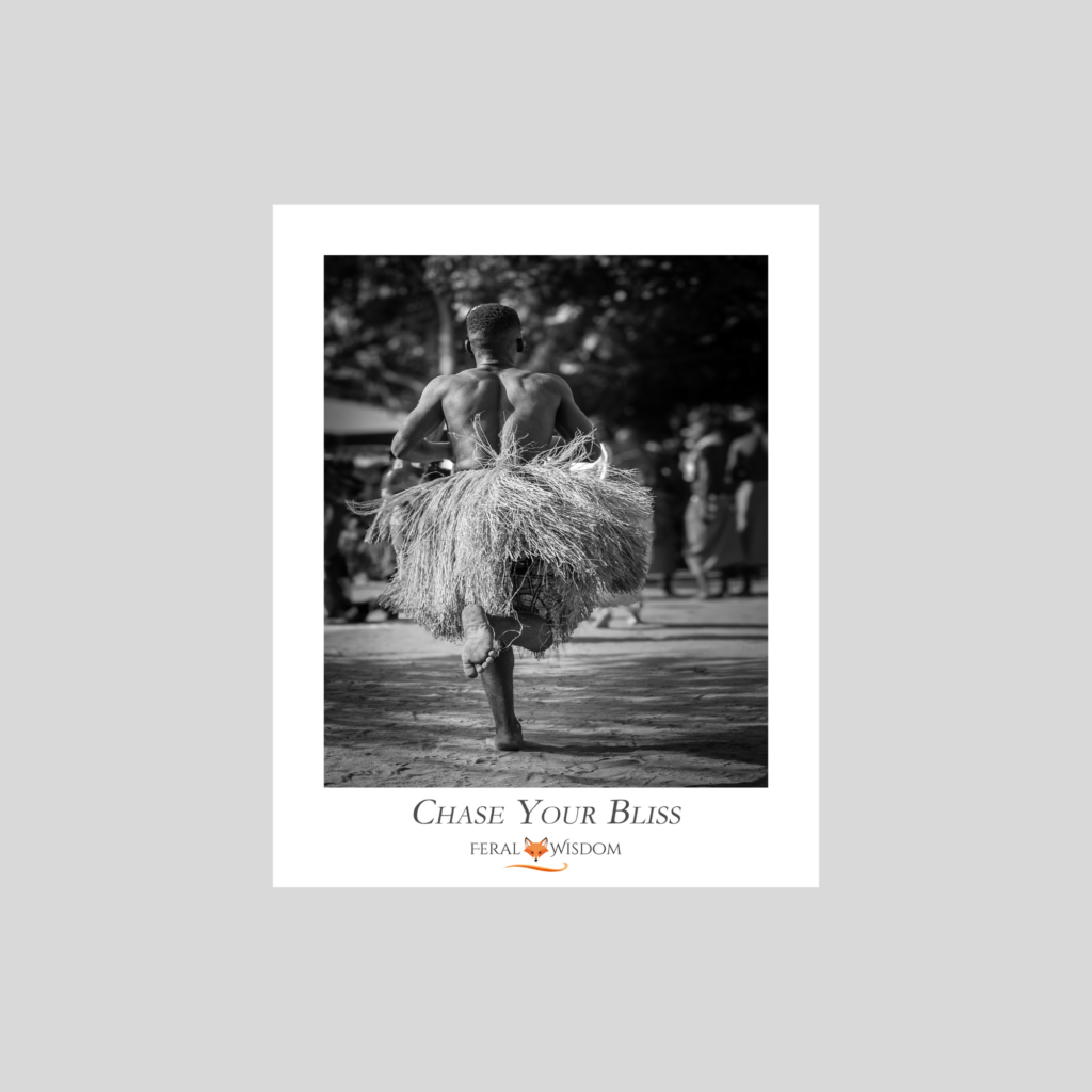 Chase Your Bliss - Print