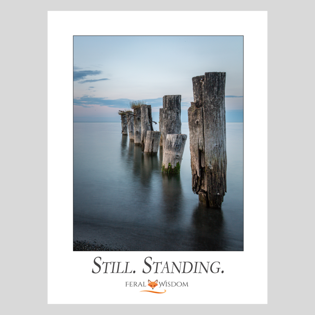 Still. Standing. - Large Format Print