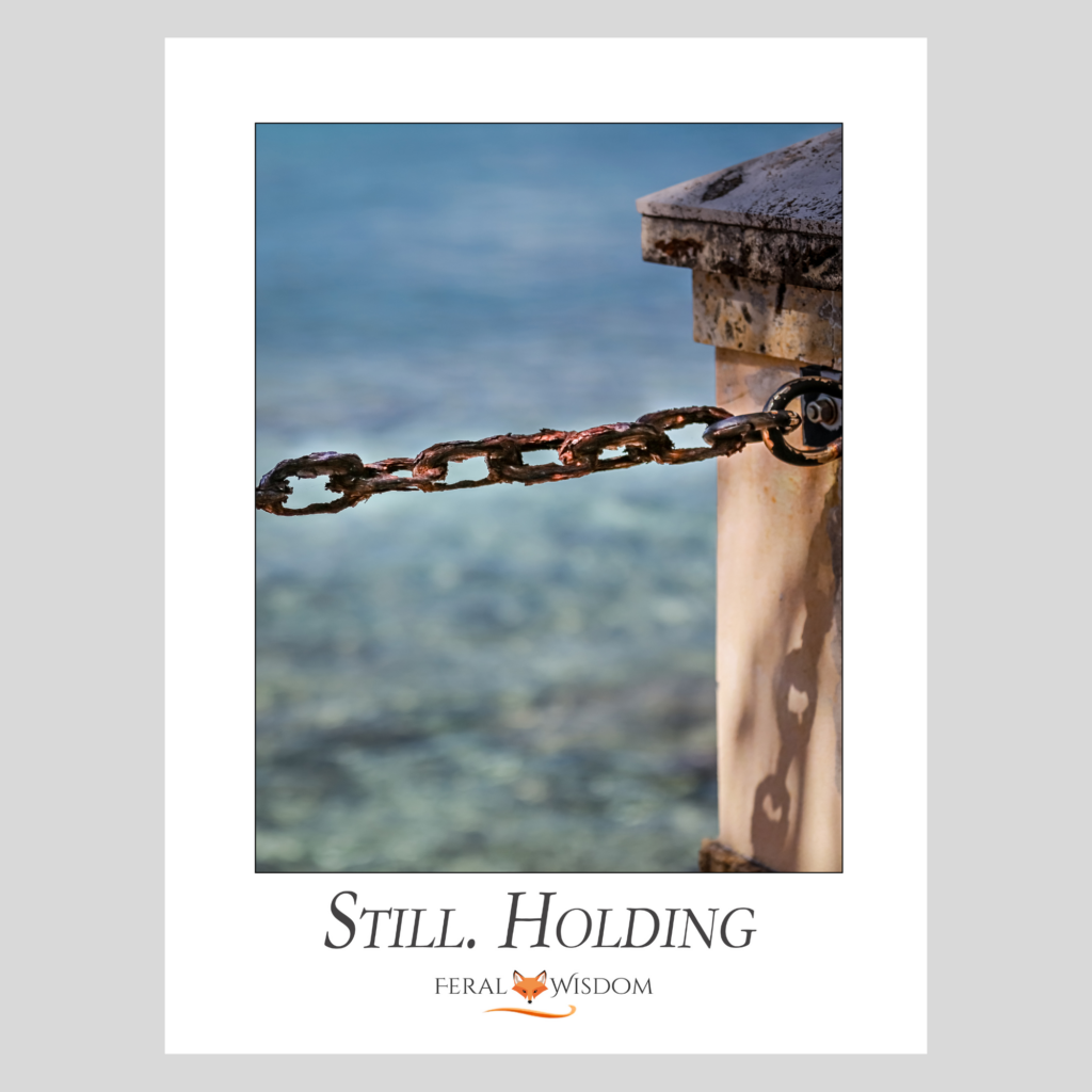 Still. Holding. - Large Format Print