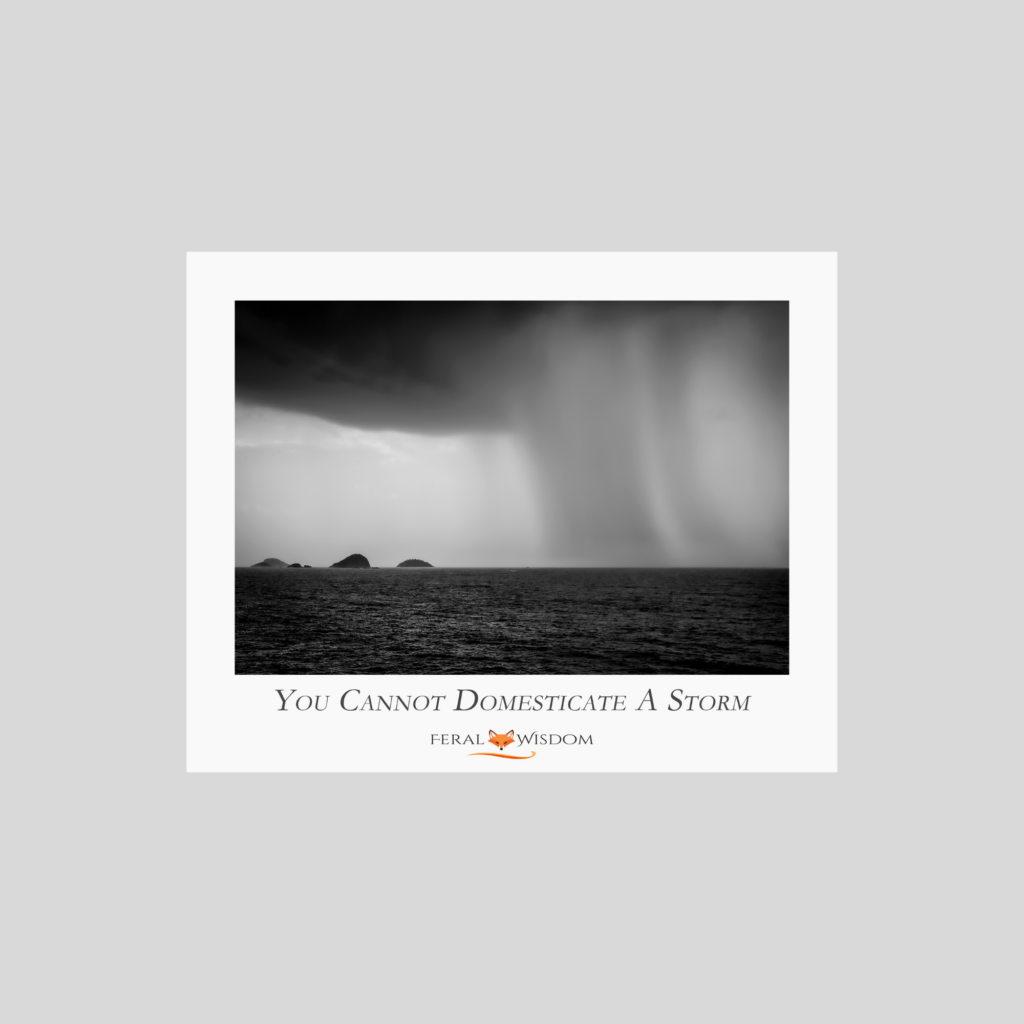 You Cannot Domesticate A Storm - Print