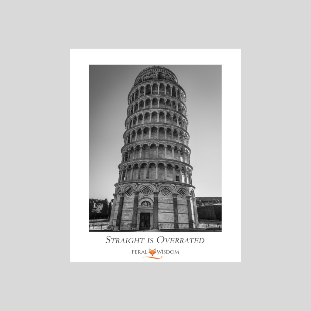 Straight is Overrated - Print
