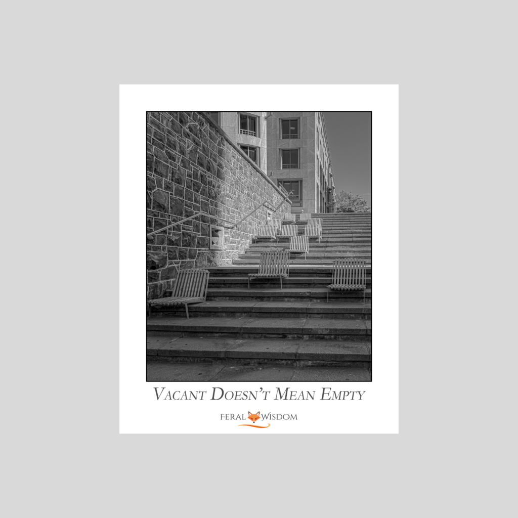 Vacant Doesn't Mean Empty - Print